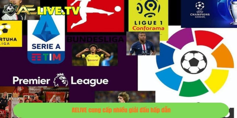 AELIVE cung cấp nhiều giải đấu hấp dẫn